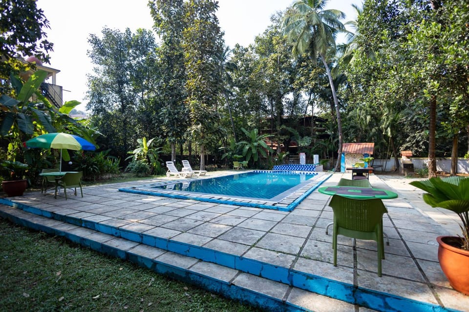 Garden, Swimming pool, Swimming pool