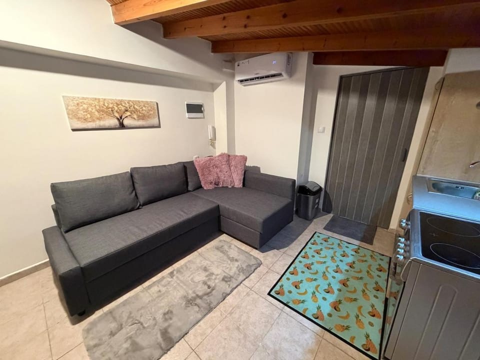 Σοφίτα 40 τμ στο κέντρο της Καστοριάς Apartment in North Macedonia