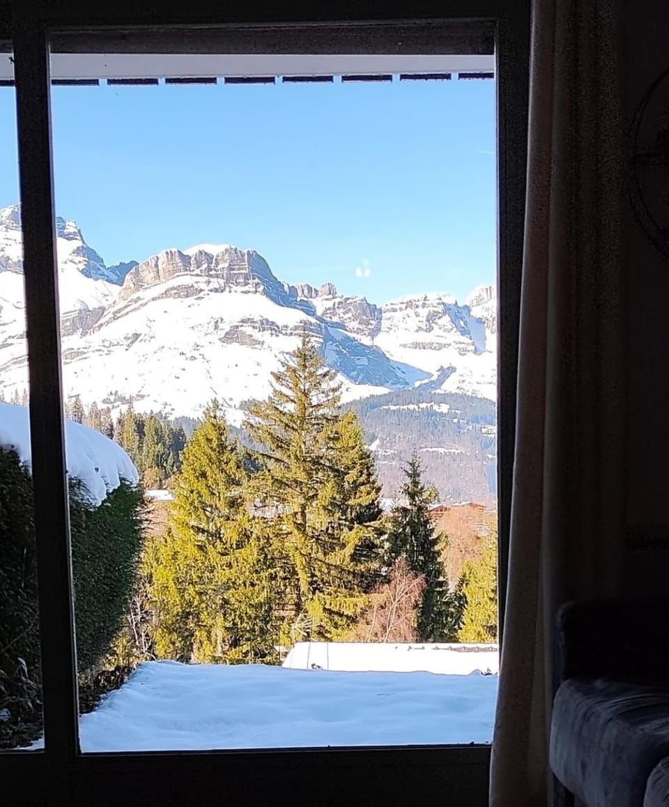 Nearby landmark, Day, Natural landscape, Winter, Garden, View (from property/room), Garden view, Mountain view