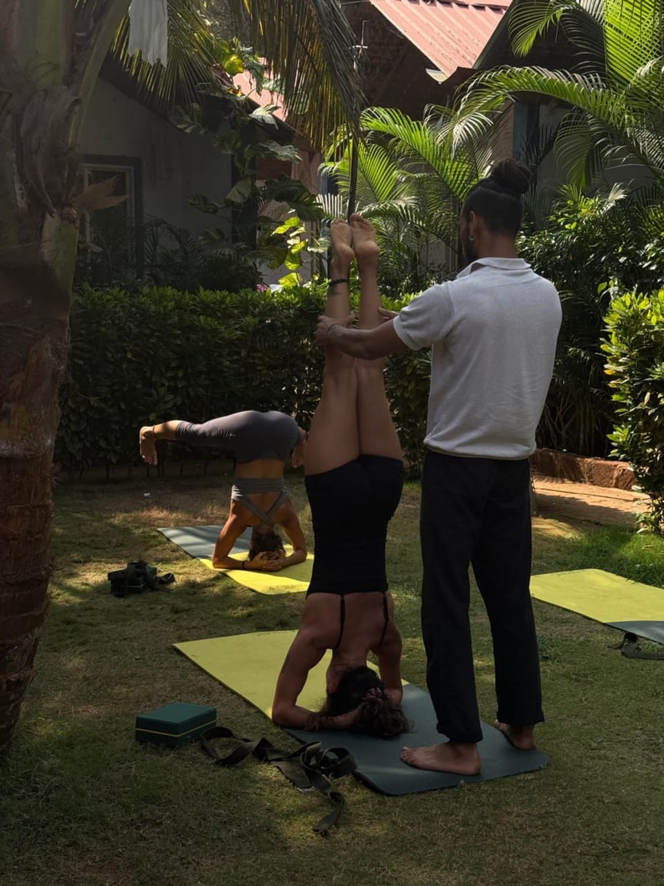 Day, People, Activities, Garden