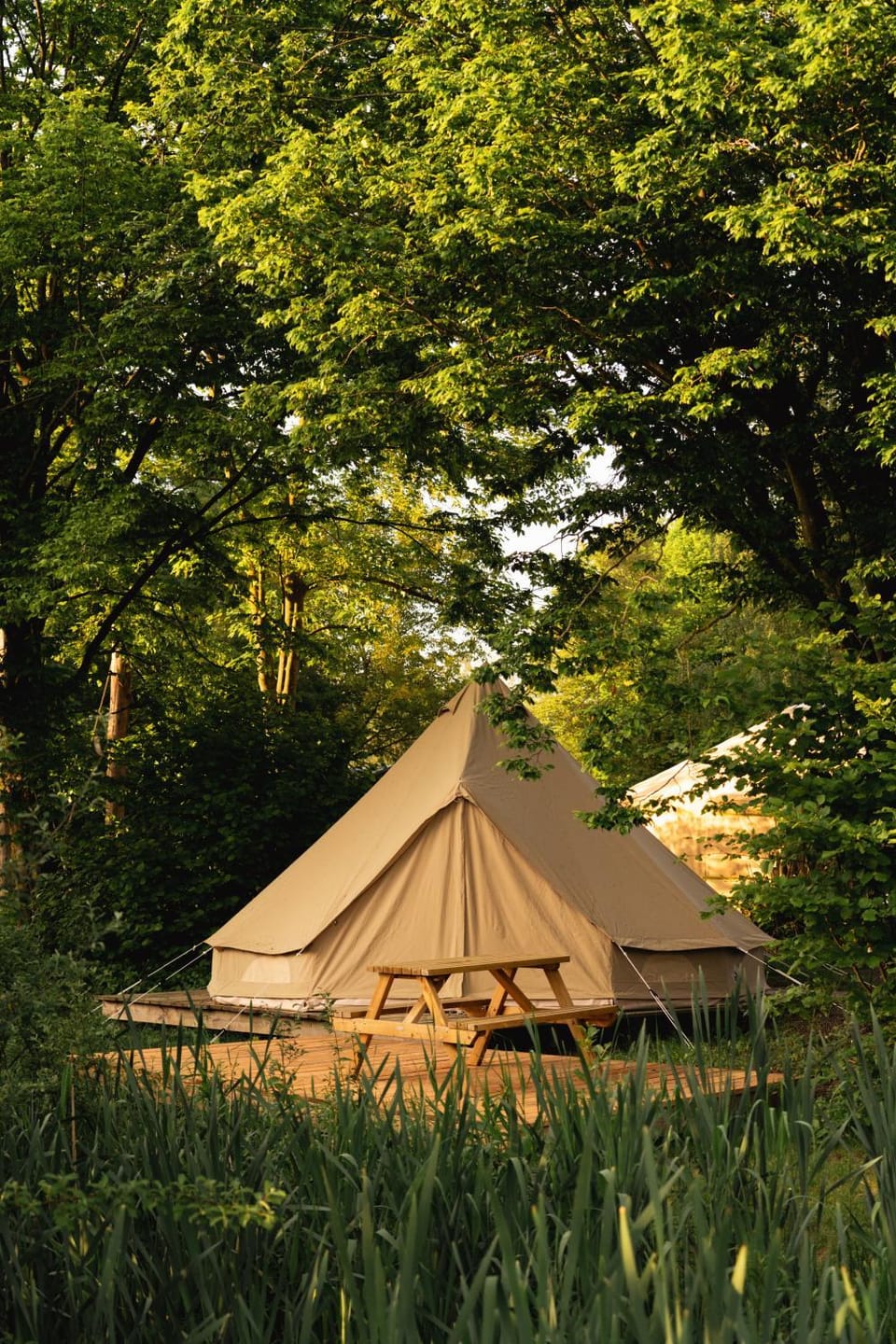 Glamping belltent in het groen Luxury tent in Zeewolde