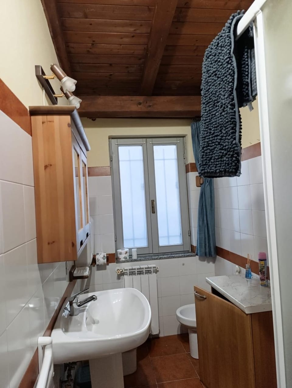 Shower, Toilet, Bathroom, bidet