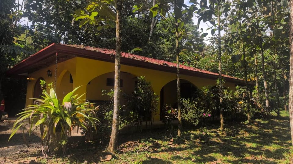 2BR Toucans and Waterfalls- the garden cottage House in San José Province