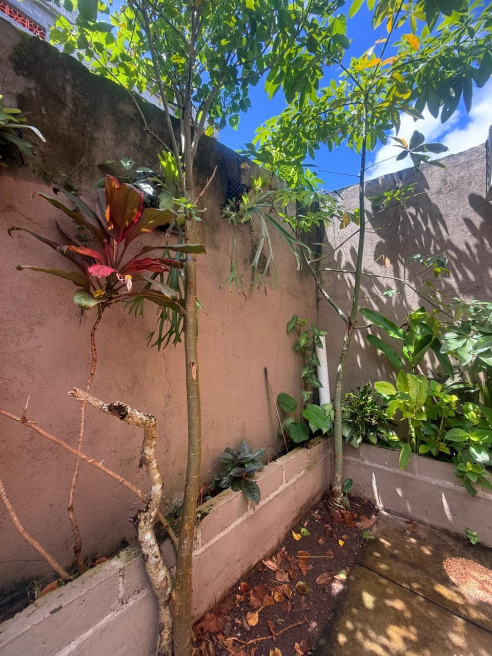 Garden, Garden view