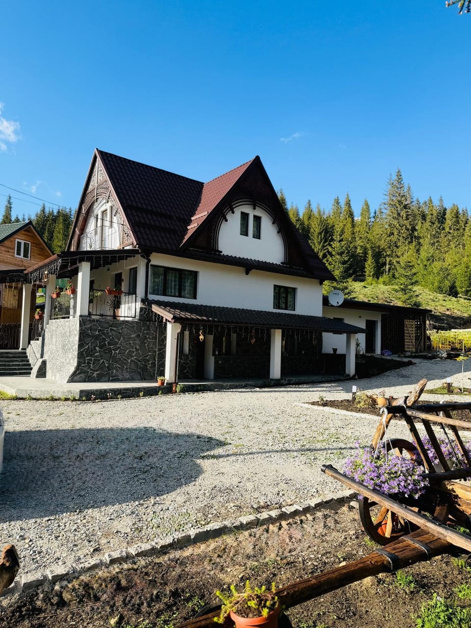 Cabana Poiana Sânzienelor House in Cluj County