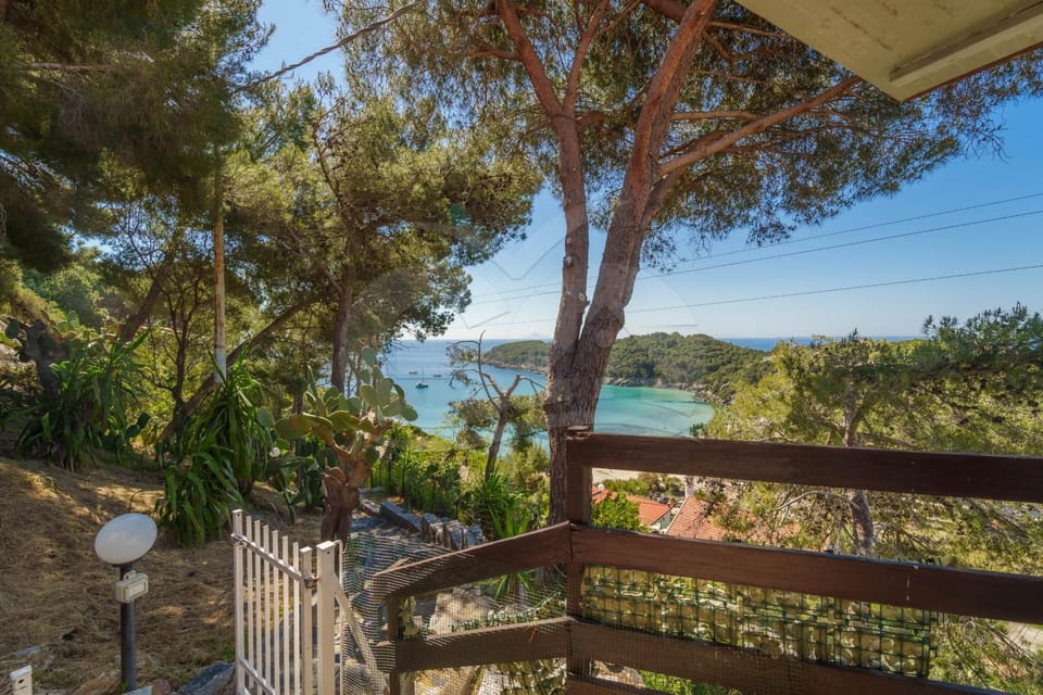 Casa dell'Asino - Goelba Apartment in Campo nell'Elba