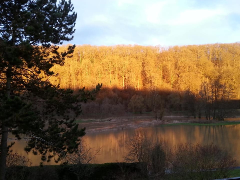 Paradiesgarten am Saaleufer Apartment in Thuringia, Germany