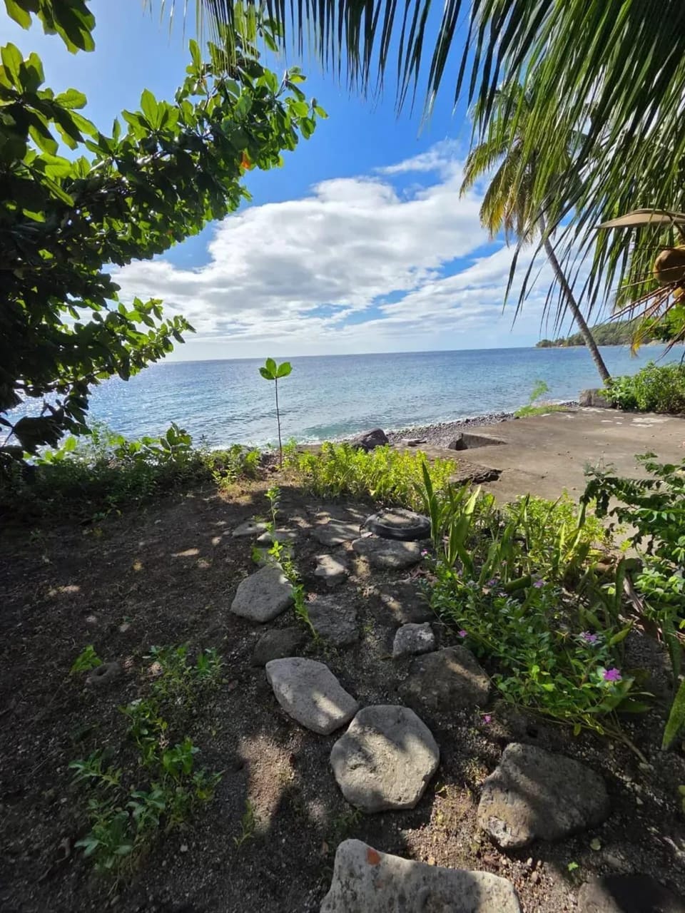 Sea view