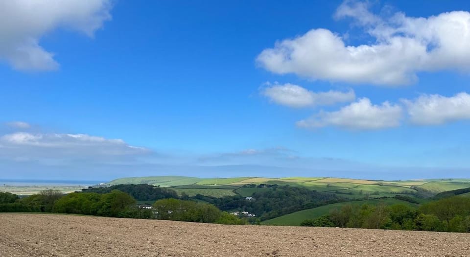 Stylish 3 Bed 3 Bath House near Beaches, Braunton House in Braunton