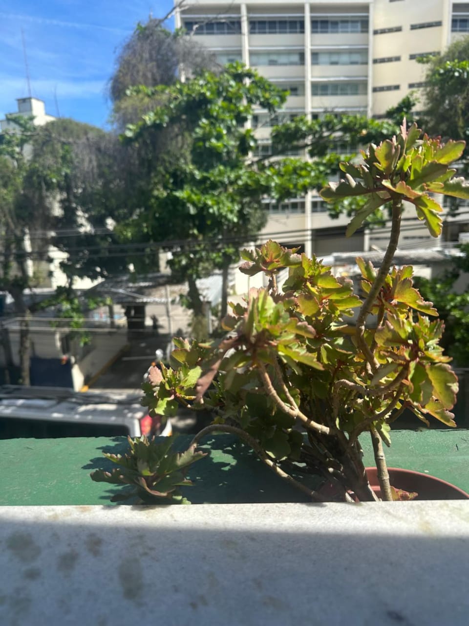 Gávea Spot Studio Apartment in Rio de Janeiro