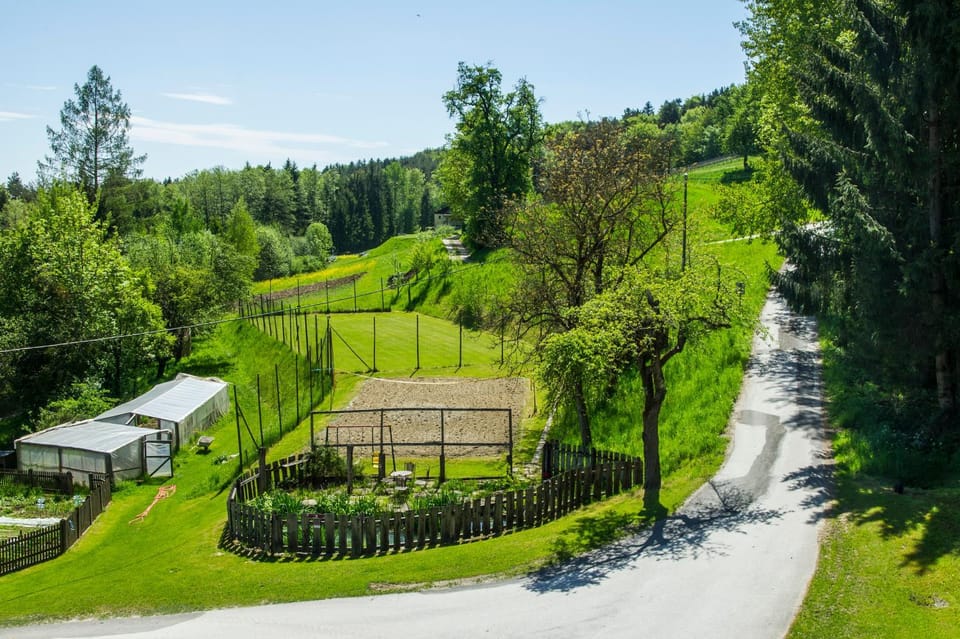 Garden, Tennis court