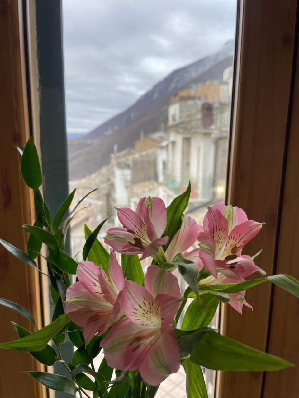 View (from property/room)
