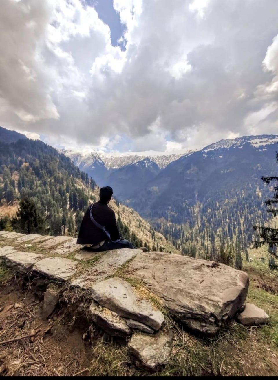 Swaranya Cabin wood cottage Cabin in Himachal Pradesh