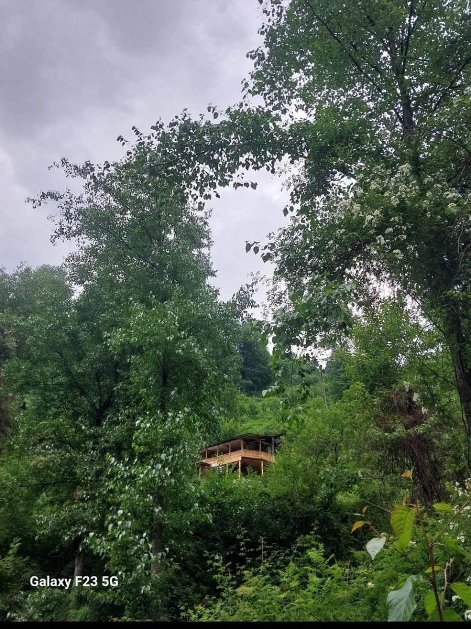 Swaranya Cabin wood cottage Cabin in Himachal Pradesh