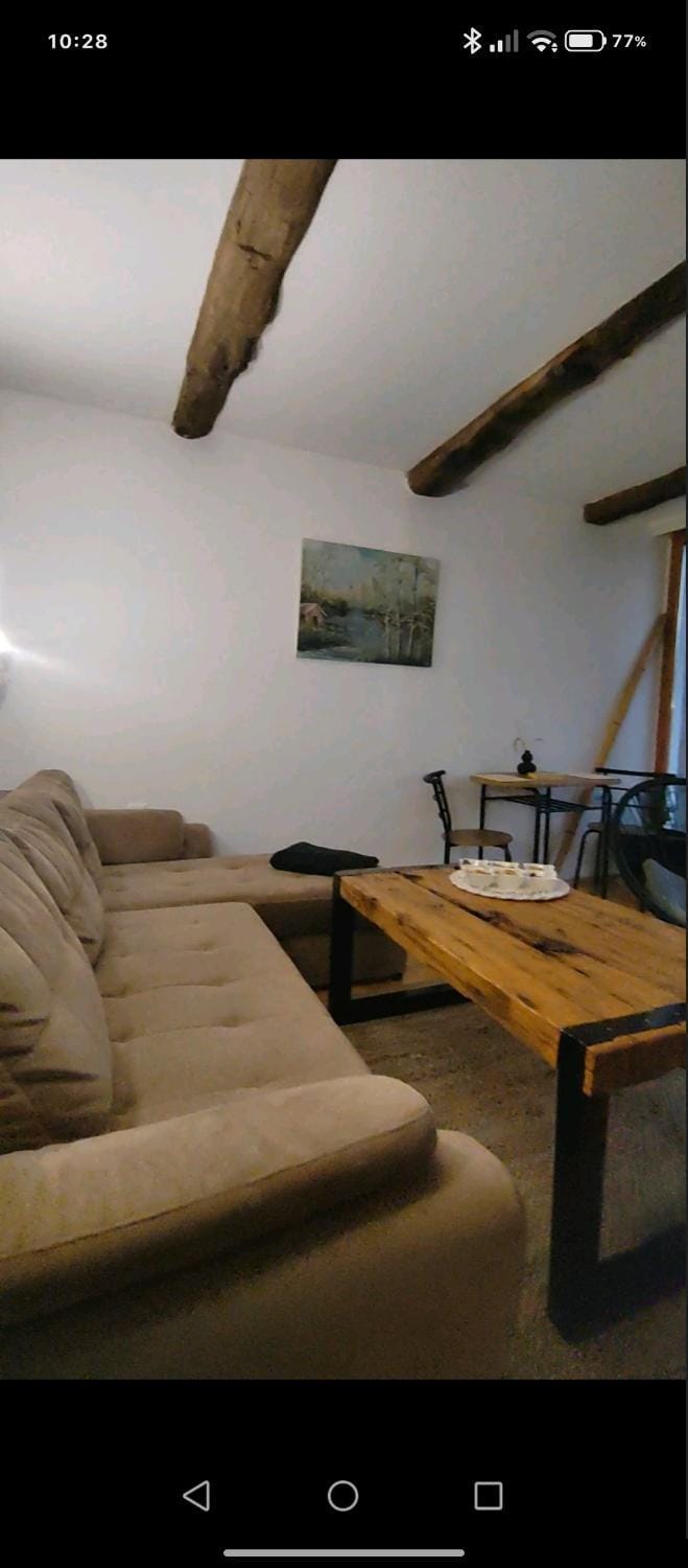 vila Damascena Apartment in Serbia