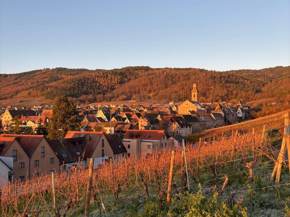 Off site, Other, City view