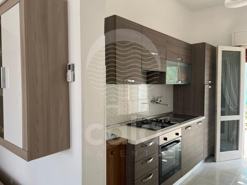 Kitchen or kitchenette, oven, kitchen