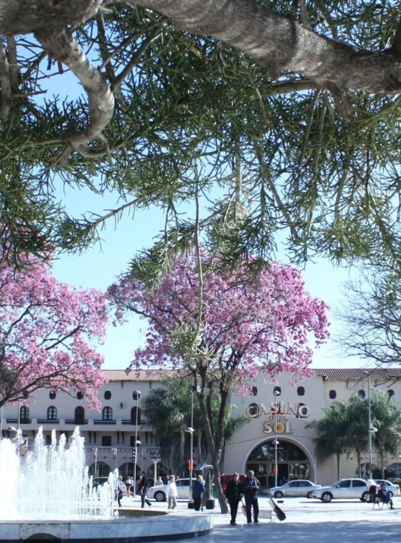 Alas termas Apartment in Termas de Río Hondo