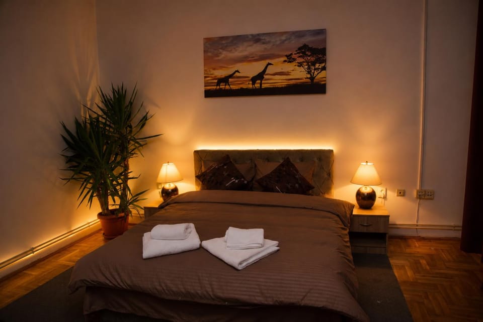 Bella Notte apartments - Strogi centar, terasa, brzi Wi-Fi Apartment in Serbia