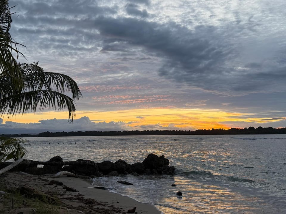 Spot on Drago House in Bocas del Toro Province