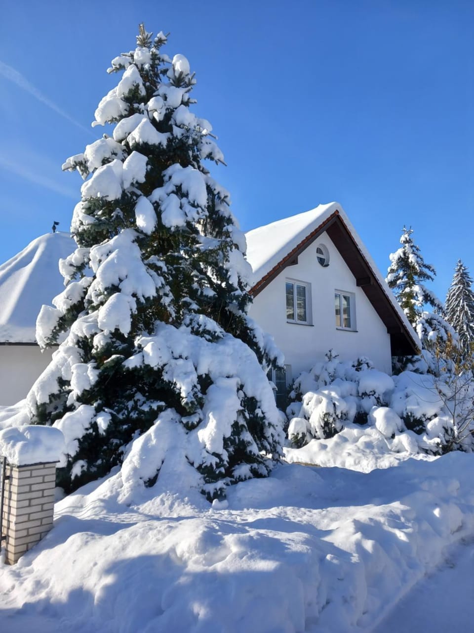 Property building, Day, Winter