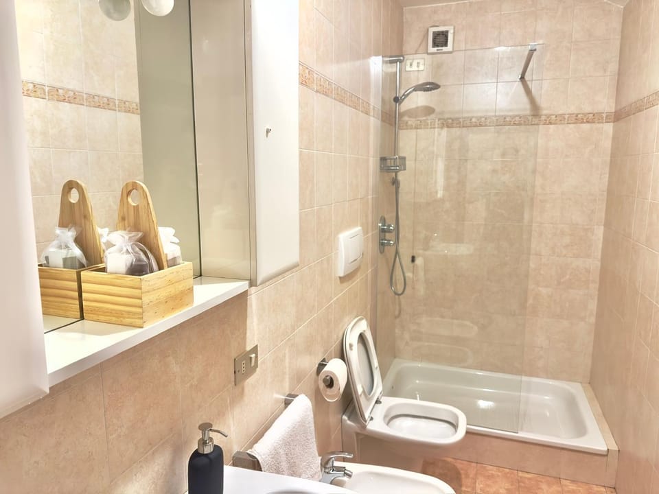 Shower, Toilet, Bathroom, towels