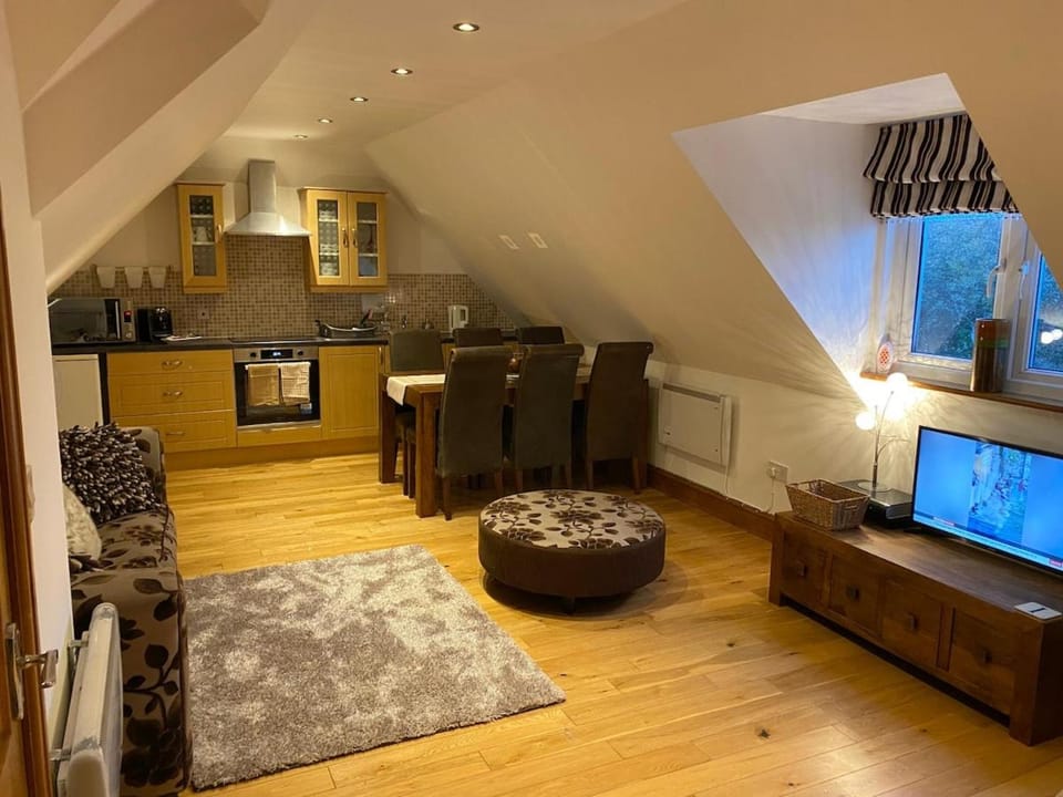 TV and multimedia, Kitchen or kitchenette, Living room, Seating area, oven