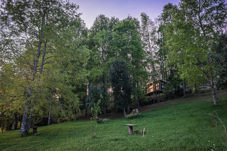Natural landscape, Garden