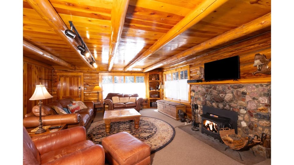 Day, TV and multimedia, Living room, Seating area, fireplace, furniture