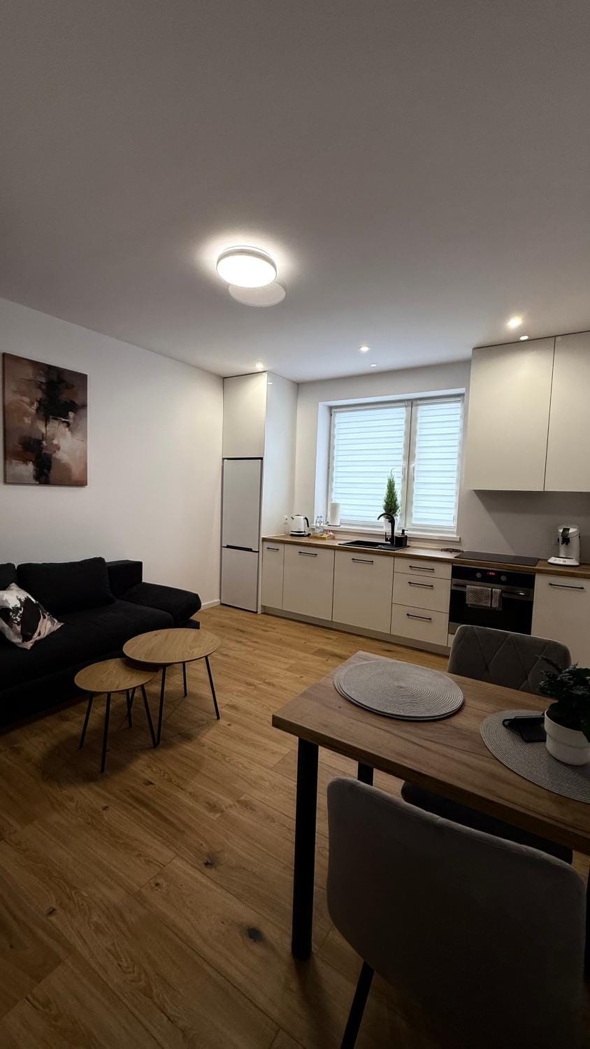 Kitchen or kitchenette, Living room, Seating area, oven, stove