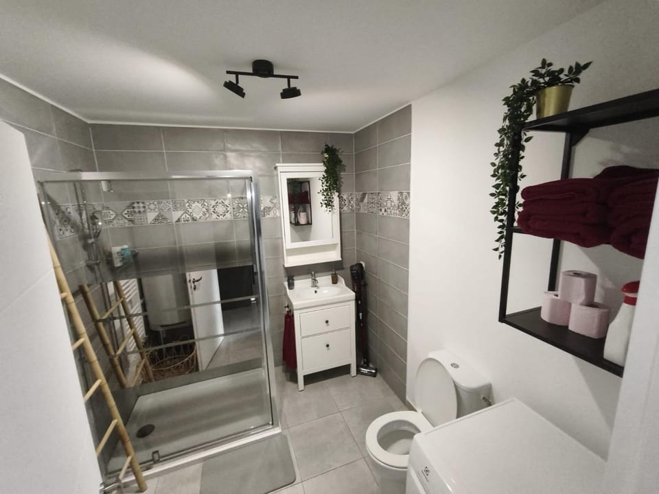 Shower, hair dryier, towels, washing machine