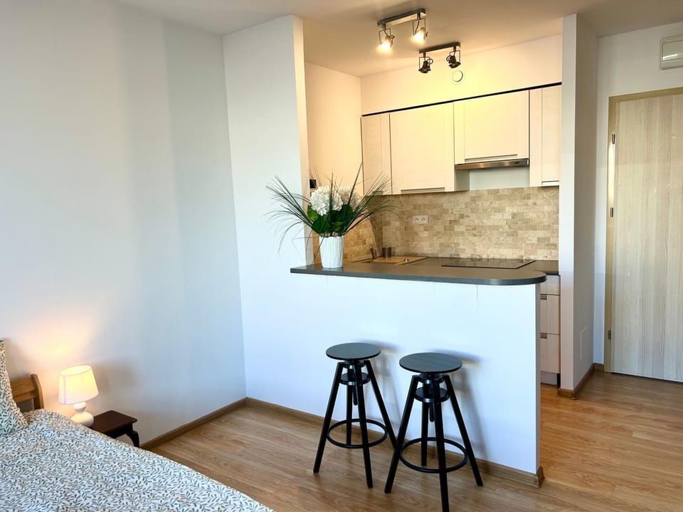 SMM Apartament Stettin Apartment in Szczecin