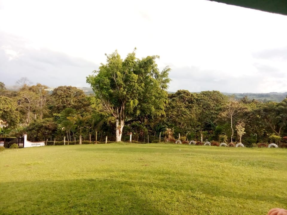 Natural landscape