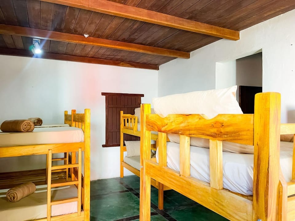 Mape Bahia Hostel Hostel in State of Bahia