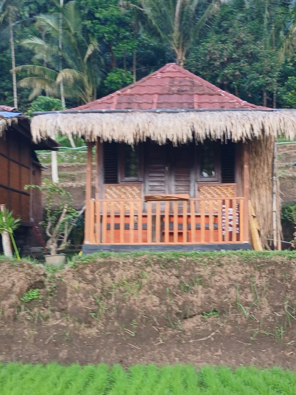 Property building, Day, Natural landscape, Garden view