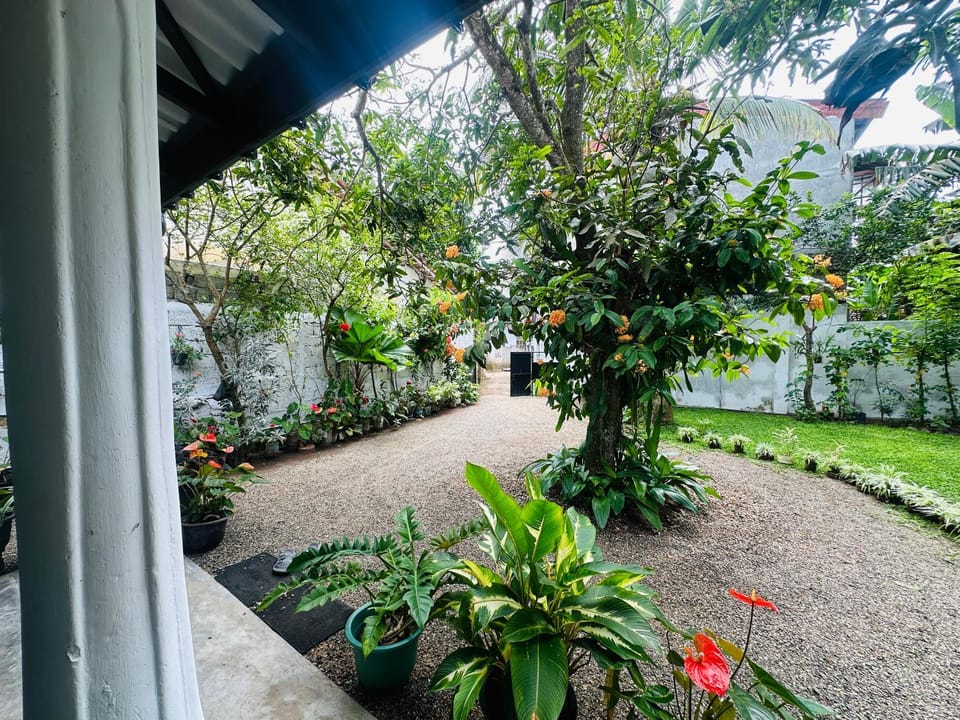 Diamond Home Stay Bed and Breakfast in Southern Province