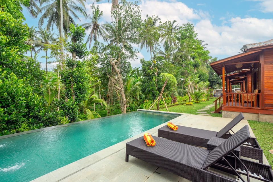 Natural landscape, Garden, View (from property/room), Garden view, Pool view, Swimming pool, sunbed
