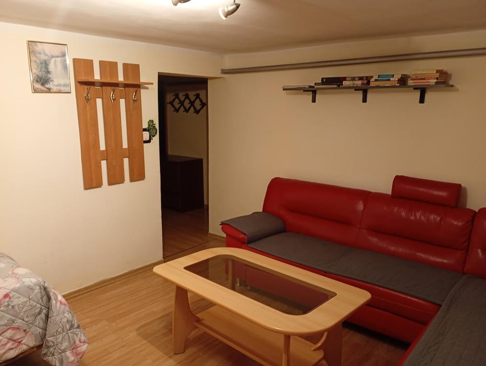 Apartament między Strumykami Apartment in Lesser Poland Voivodeship