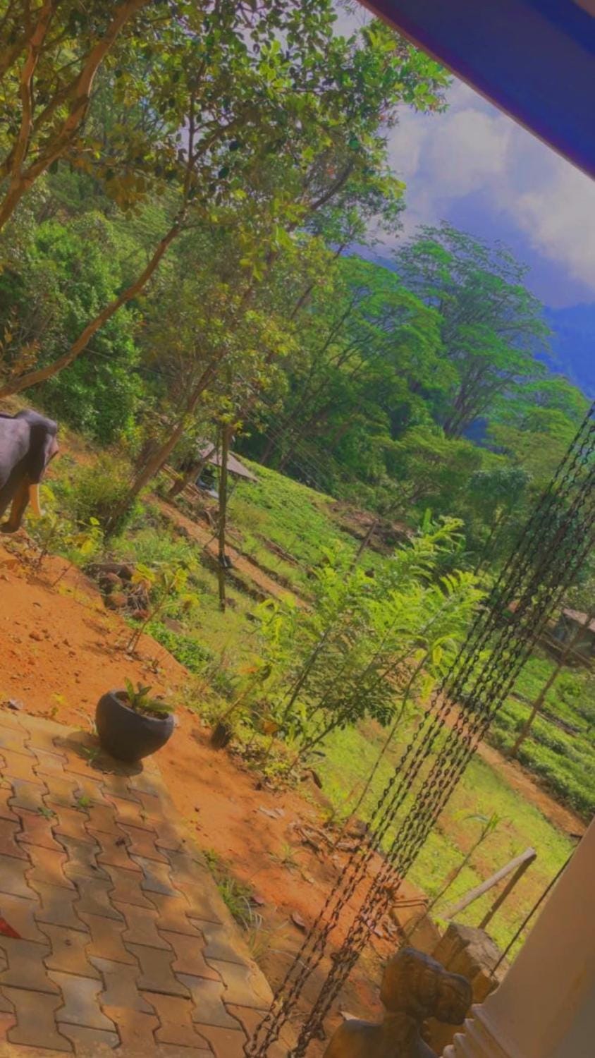 green view 5th mile Vacation rental in Central Province