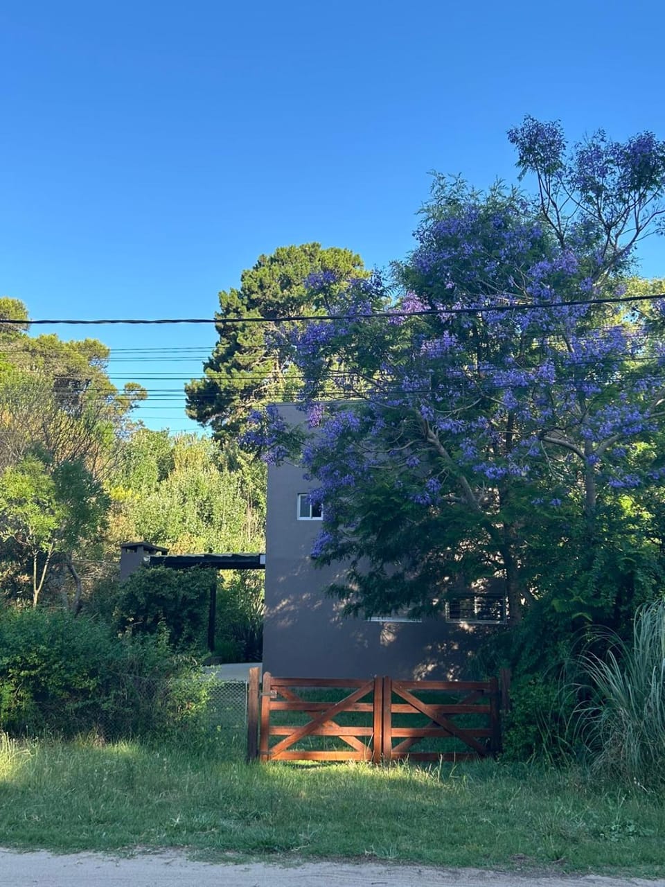 Day, Natural landscape, Garden