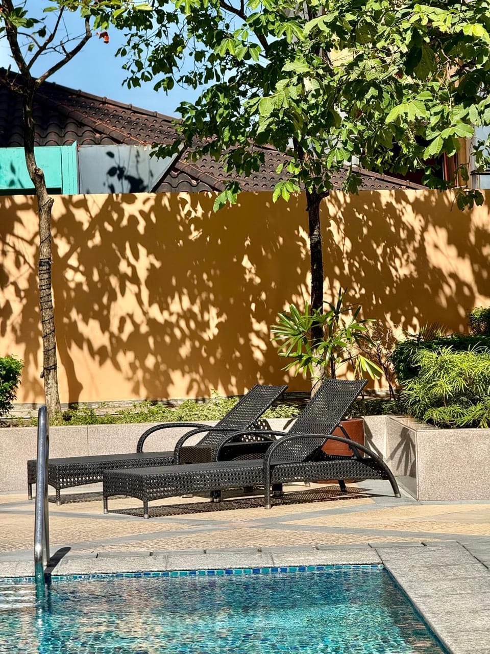 Swimming pool, Swimming pool