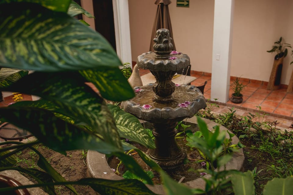 Patio, Garden