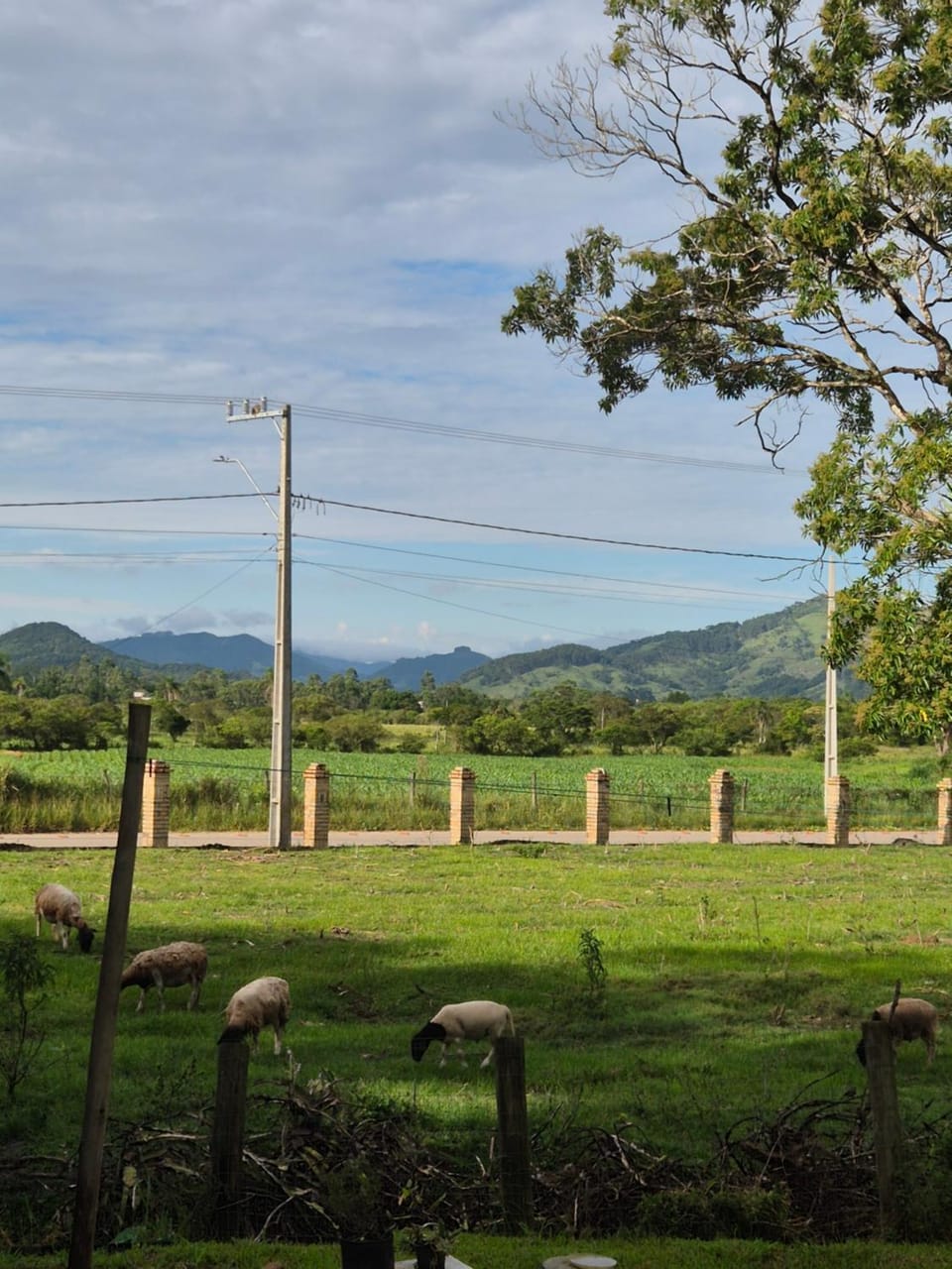Morada da Gralha, Garopaba House in State of Santa Catarina