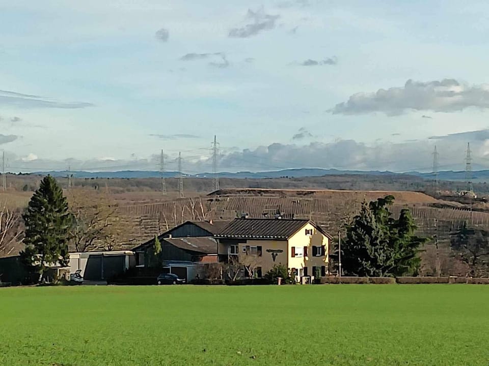 View (from property/room)