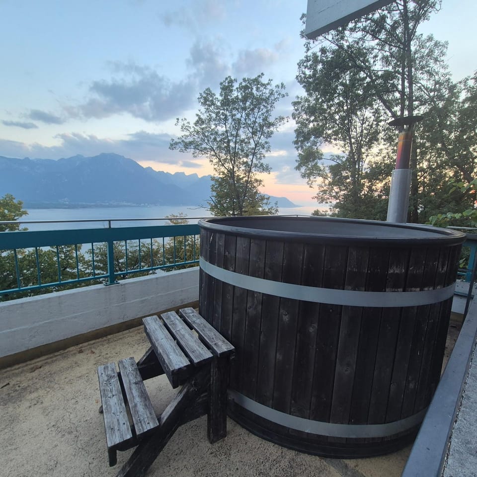 Architect house with gorgeous view lake & Wildlife Villa in Montreux