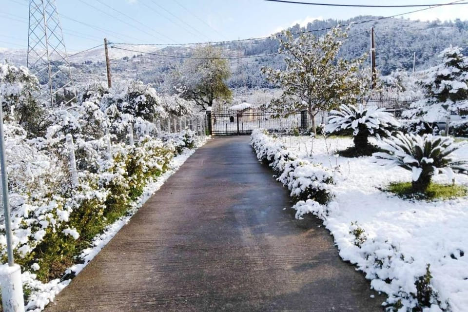 Παραδοσιακό σπίτι με τζάκι Chalet in Volos