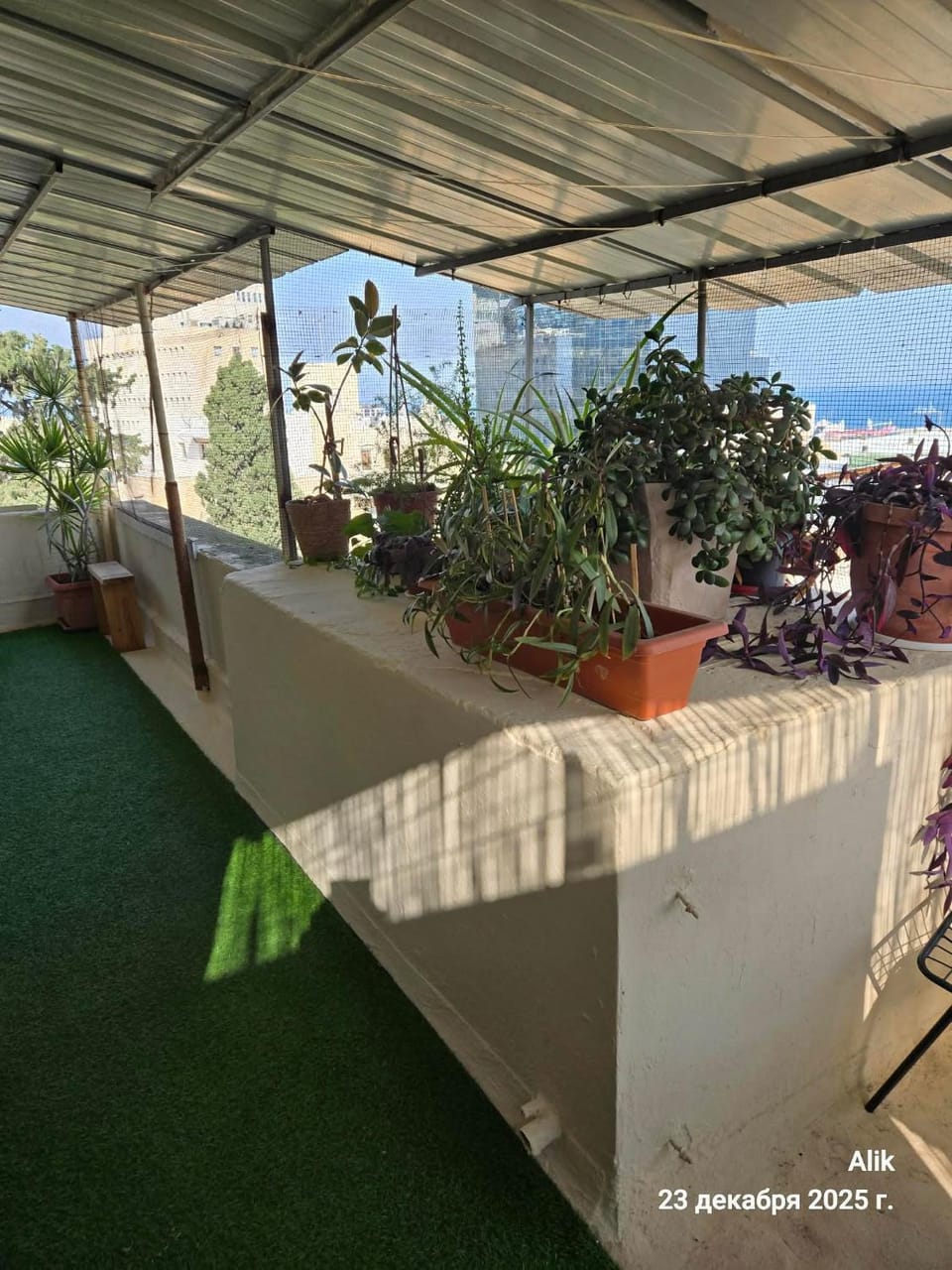 Comfy Studio Apartment in Haifa