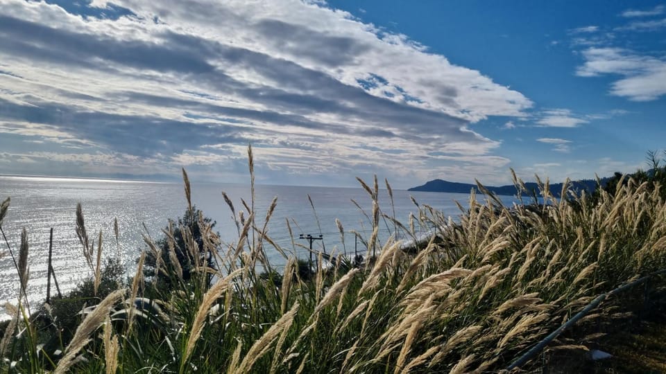 Spring, Natural landscape, View (from property/room), Beach, Mountain view, Sea view