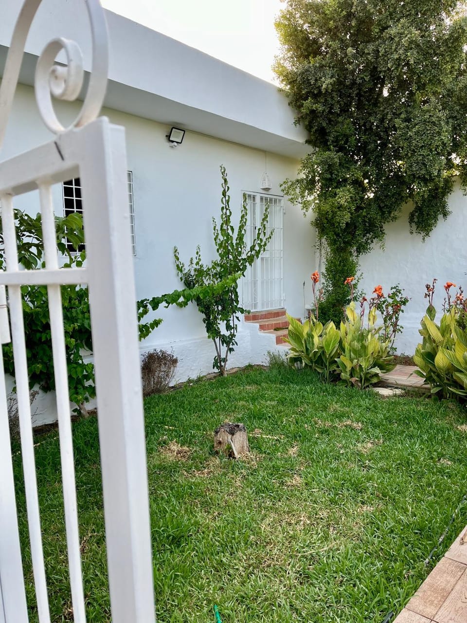 Maison des citronniers House in Hammamet