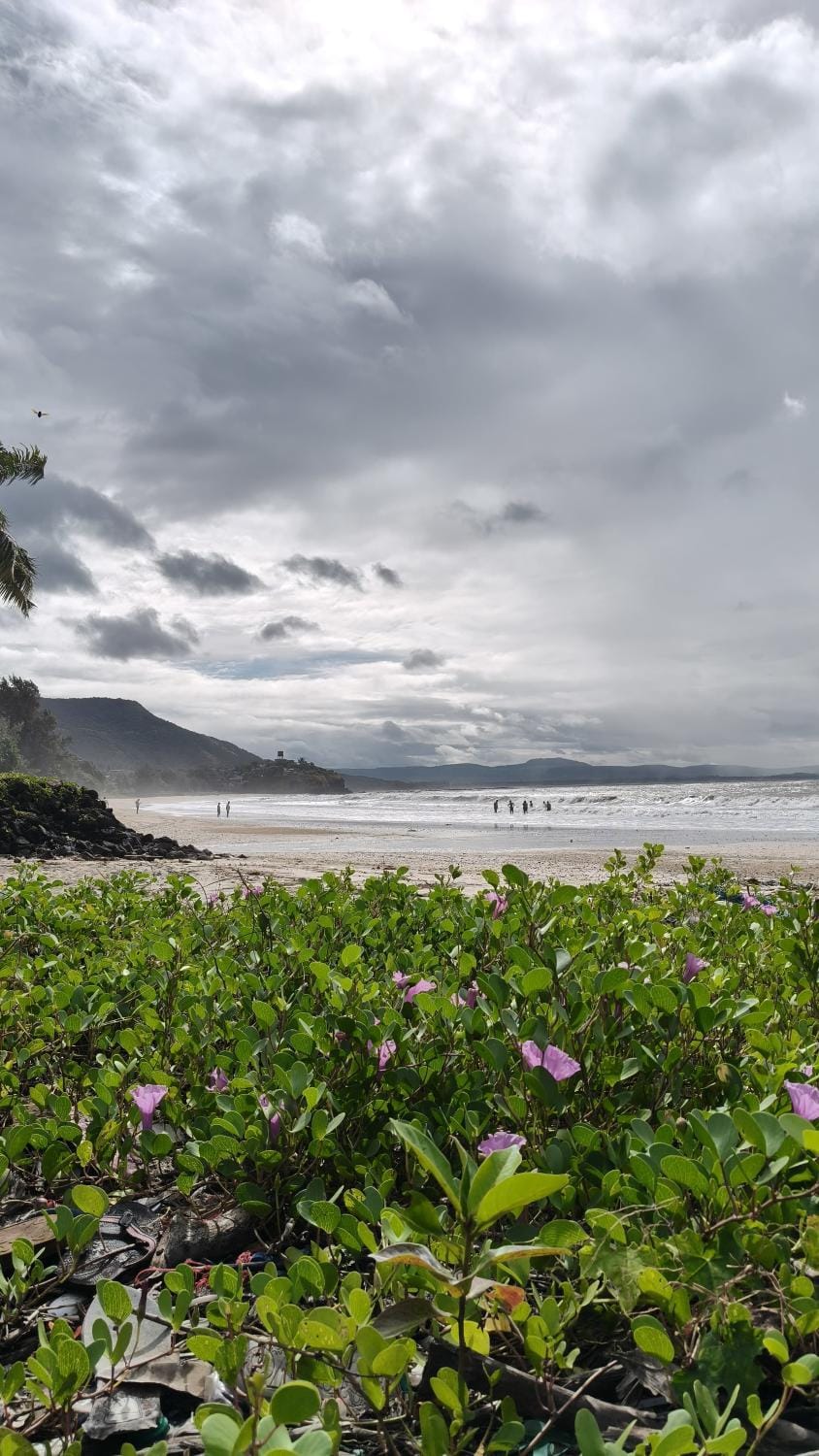 Omkar Homestay Adgaon Beach Sea View Next to Diveagar 2 Vacation rental in Maharashtra